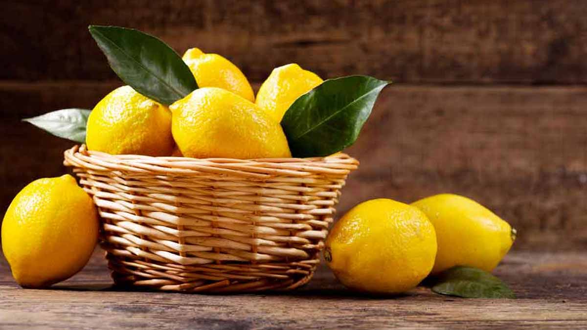 Comment greffer un citronnier pour avoir de beaux citrons ? Tous nos conseils pratiques !